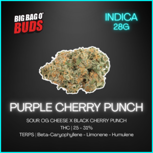 Purple Cherry Punch | High-THC Bulk Indica Canada