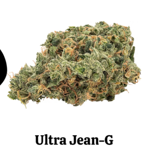 Ultra Sour + Ultra Jean-G | High-THC Sativa Bulk Weed Canada