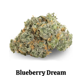 Blueberry Kush x Blue Dream Bulk Weed