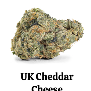 UK Cheddar Cheese Strain | Premium High-THC Bulk Weed Canada
